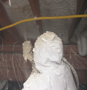  PA crawl space insulation
